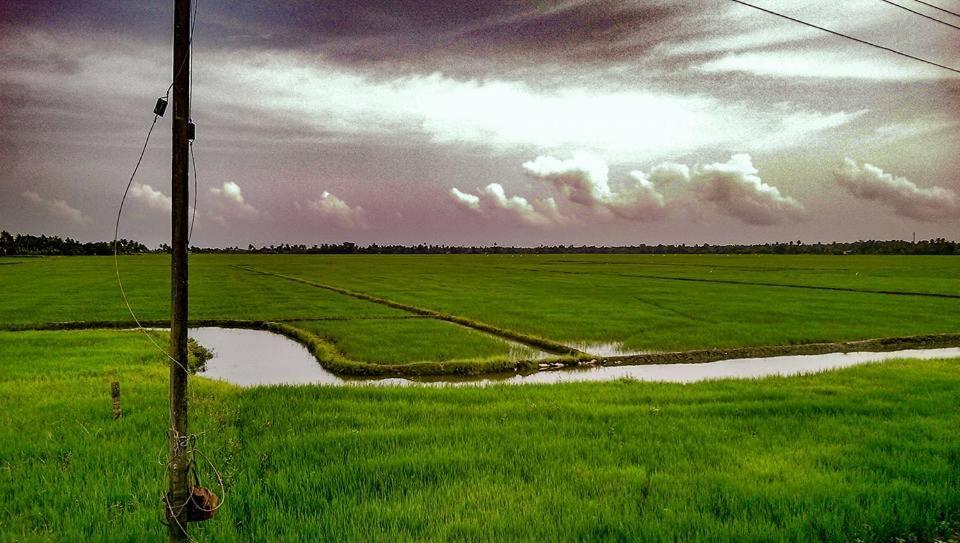 Golden Beach Home Stay Alappuzha Eksteriør bilde